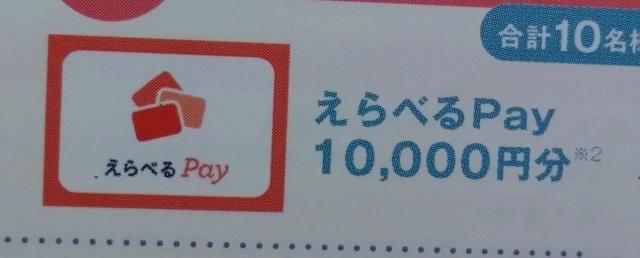 えらべるpay10000円分当たる/1口 < チケット/金券 えらべるpay10000円分当たる/1口 < チケット/金券の