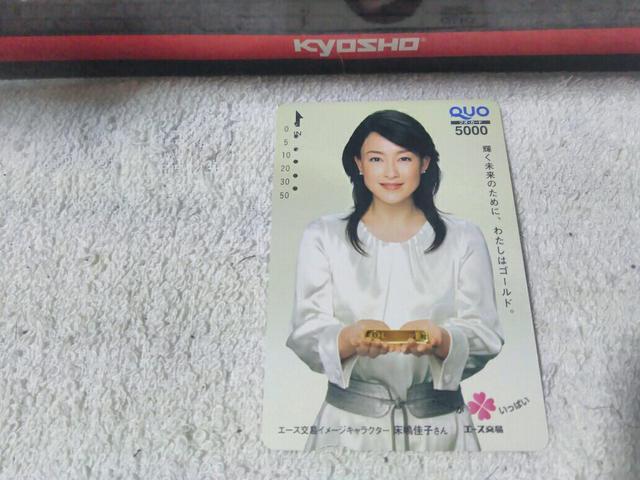 �g�p�σN�I�J5000  �������q �G�[�X���� �������L  �� �`�P�b�g/������ 