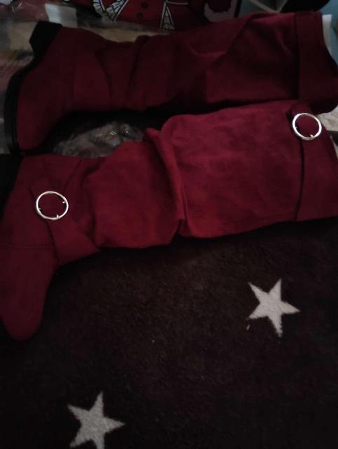 �Ԃ��j�[�n�C�u�[�c MAQAM 36 �X�E�F�[�h�� �S�[���h�o�b�N�� ���[�Y�t�B�b�g �� �j���t�@�b�V������ 