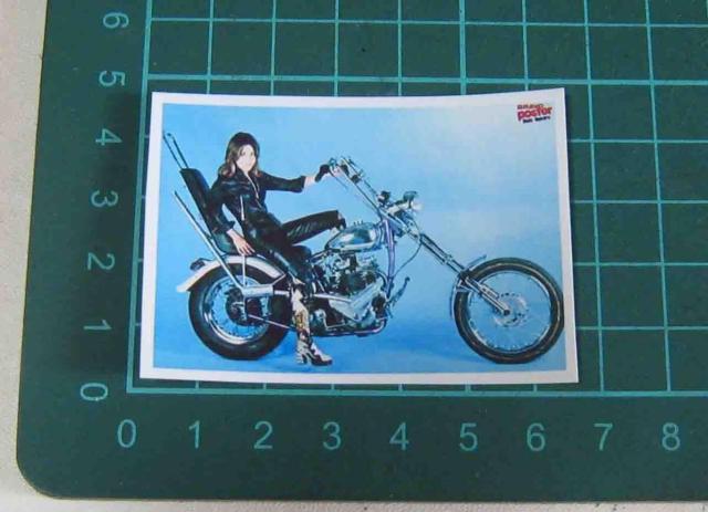 �X�[�W�[�E�N�A�g���@�`���b�p�[�o�C�N �@�X�e�b�J�[�@�Q���Z�b�g �� CD/DVD/�r�f�I�� 