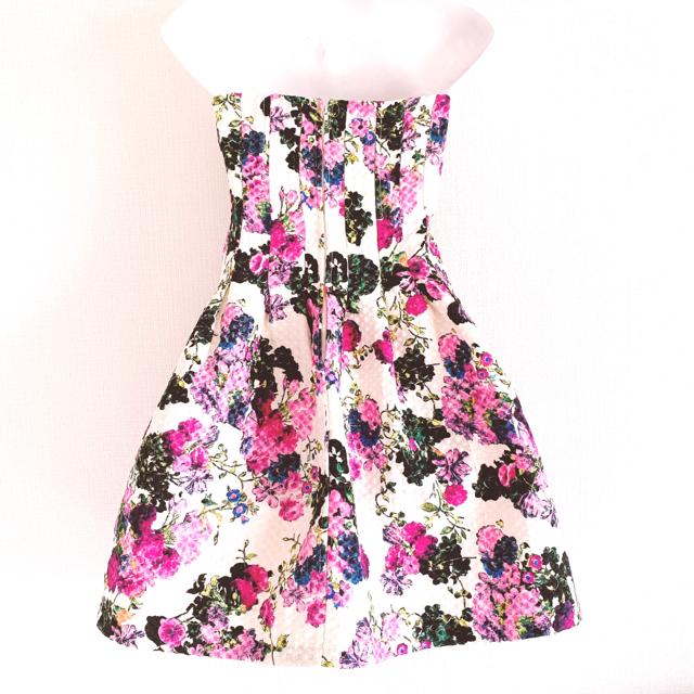 zCgsNubNt[xAhXs[Xԕ  t@bV 