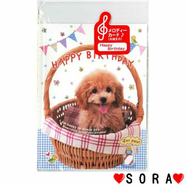 ygCv[hzHappy Birthday̋Ȃ{ a fB[J[h  CeA/Ct 