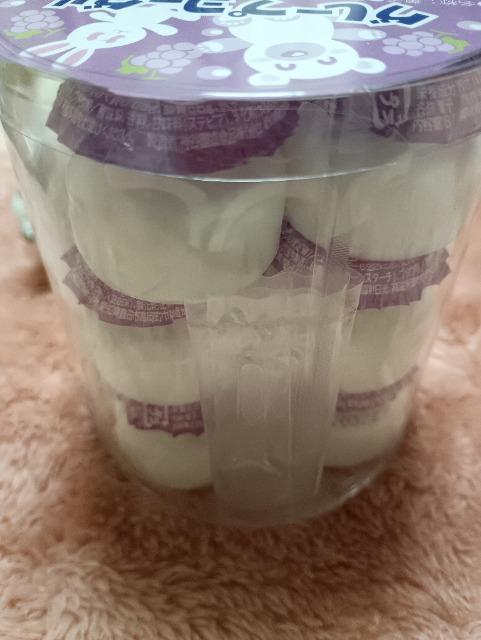 ヨーグル、グレープ味、12個入り < グルメ/ドリンク ヨーグル、グレープ味、12個入り < グルメ/ドリンクの