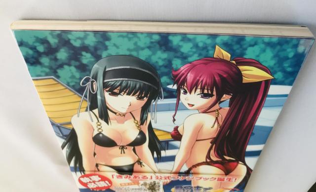 NŎŁ@ItBVt@ubN@с@|X^[@Ł@  Q[{/\tg 