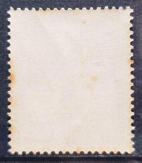 {X {̐؎ gp؎ LO؎ ޗǑJs1250NLO 1960N q@䕨 uߐṽVJ  z10~  zr[ 