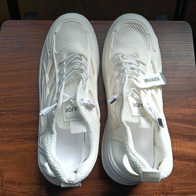 �V�i 24.5cm ���f�B�[�X �X�j�[�J�[ �z���C�g �V���[�Y �C �J�W���A�� �� �����t�@�b�V������ 