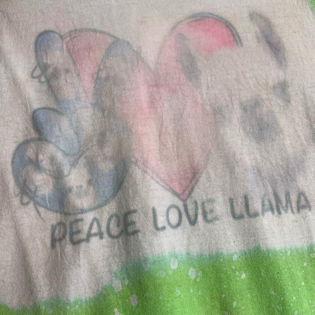 Hanes �r���e�[�WT�V���c ���� T�V���c 2XL �N���[�l�b�N �Ò� �w�C���Y �� �j���t�@�b�V������ 