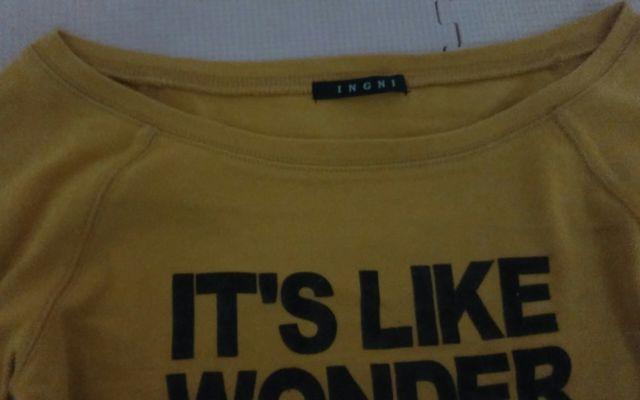 INGNI  }X^[h@lTCY  t@bV 