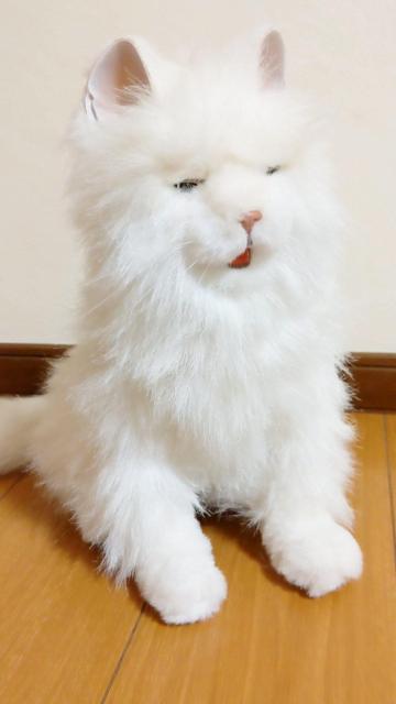 リアル 美品  動く 鳴く 等身大 バーチャルペット ロボット おもちゃ ねこ 猫 ネコ ぬいぐるみ 人形  白猫 ペルシャ猫 < おもちゃ  リアル 美品  動く 鳴く 等身大 バーチャルペット ロボット おもちゃ ねこ 猫 ネコ ぬいぐるみ 人形  白猫 ペルシャ猫 < おもちゃの