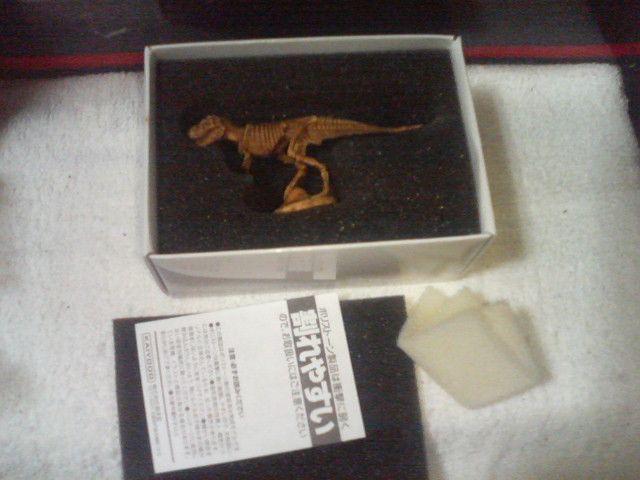 朝日新聞 恐竜博2005 スー 全身骨格 海洋堂 < ホビー 朝日新聞 恐竜博2005 スー 全身骨格 海洋堂 < ホビーの