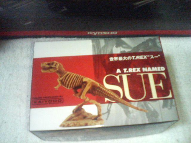朝日新聞 恐竜博2005 スー 全身骨格 海洋堂 < ホビー 朝日新聞 恐竜博2005 スー 全身骨格 海洋堂 < ホビーの