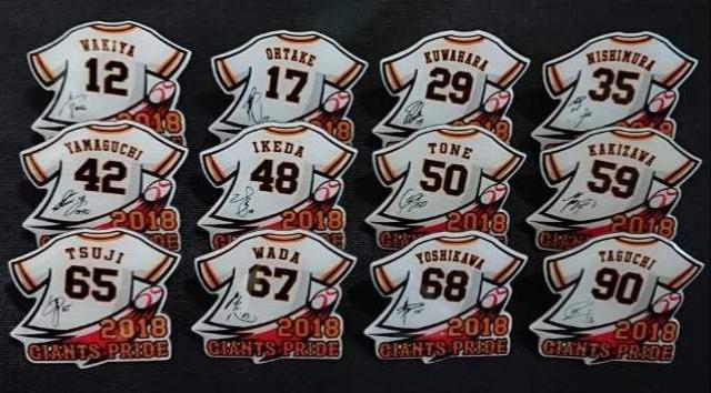 GR 2018ssYt12 s{tBt3{ ܂Ƃߔ   W[/X|[c 