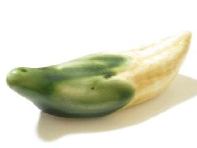 sNewtVN؁Ƃ낱u(Jg[Xg)  CeA/Ct 