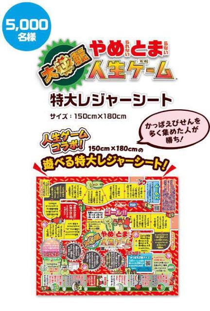 sNewtsNjbN.AEghAɍœK(lQ[)Vׂ郌W[V[gyJr[*Iz   zr[ 