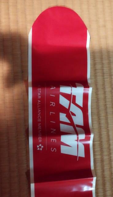 TAM AIRLINES スターアライアンス バルーン ブラジル航空会社 非売品 < ホビー  TAM AIRLINES スターアライアンス バルーン ブラジル航空会社 非売品 < ホビーの