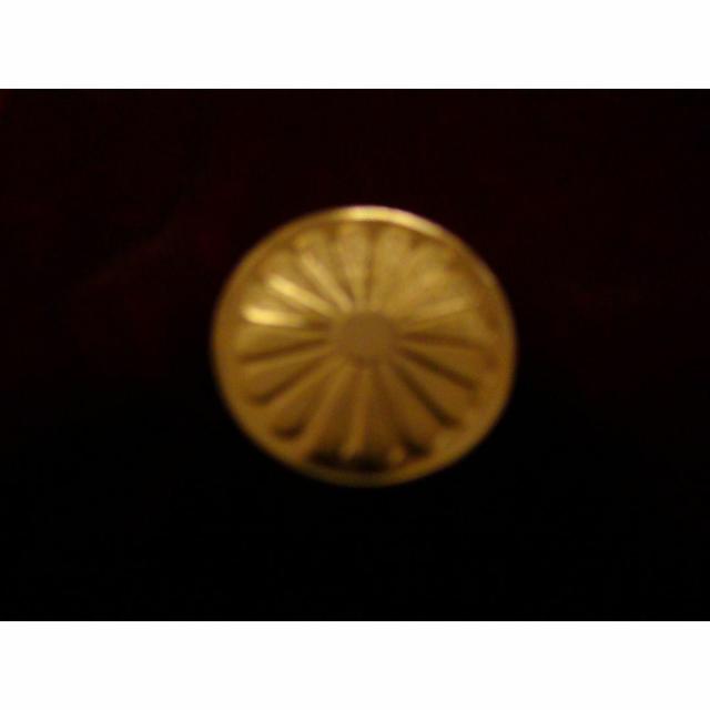 aVc ݈ʌ܏\NLO_ Vigp !B  zr[ 