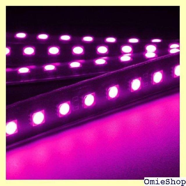 ԗpLEDXgbvCg EJs SUPER CAR Lbg ԗplICgXgbv DC 12V sN 961  /oCN