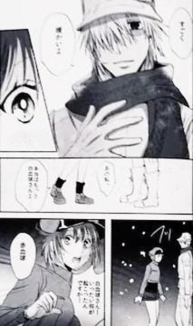 はたらく細胞同人誌「雪夜の約束」《白血球×赤血球》 < アニメ/コミック/キャラクター  はたらく細胞同人誌「雪夜の約束」《白血球×赤血球》 < アニメ/コミック/キャラクターの