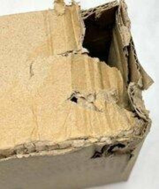 TTvC IEEE1284v^P[u 3m CgO[ KPU-IEPS3K2  PC{/Ӌ@ 