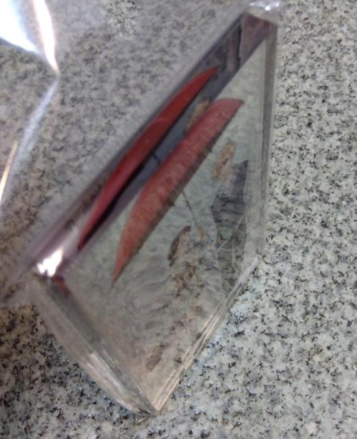 送料無料!スキップとローファー アクリルブロック 岩倉美津未&志摩聡介 < アニメ/コミック/キャラクター  送料無料!スキップとローファー アクリルブロック 岩倉美津未&志摩聡介 < アニメ/コミック/キャラクターの