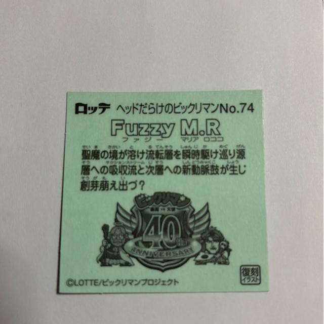wbh炯̃rbN}NO.74 FuzzyM.R t@W[ }A RR