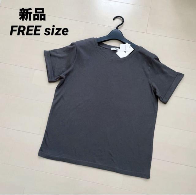 [Vi]  TVc Jbg\[ t[TCY   t@bV 