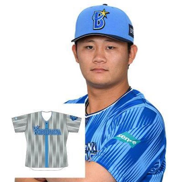 #32 vq EI MTC𗬐rW^[jtH[ipEMTCj 