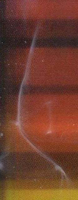 F1/フォーミュラ1/クリアファイル < レジャー/スポーツ  F1/フォーミュラ1/クリアファイル < レジャー/スポーツの