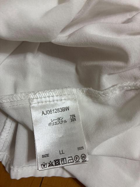 白 ティアード ギャザー ロング丈 ブラウス チュニック LL レーヨン混 < 女性ファッション 白 ティアード ギャザー ロング丈 ブラウス チュニック LL レーヨン混 < 女性ファッションの