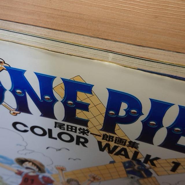 ONE PIECE chYW COLOR WALK 1  Aj/R~bN/LN^[ 