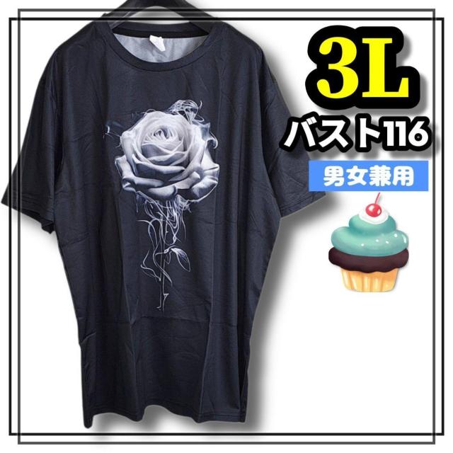 傫TCY Y fB[X  TVc I[o[TCY VbN [h JWA KN [Y 3L   jt@bV 