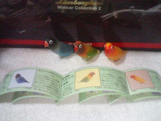 フルタ ペット動物2 キエリクロボタンインコ ヤマブキ ブルー ルチーノ 3種 < ホビー フルタ ペット動物2 キエリクロボタンインコ ヤマブキ ブルー ルチーノ 3種 < ホビーの