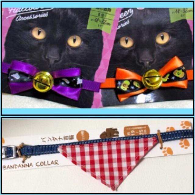 【ペット首輪B点】犬・猫用★首輪 チョーカー(新品) < ペット/手芸/園芸  【ペット首輪B点】犬・猫用★首輪 チョーカー(新品)  < ペット/手芸/園芸の