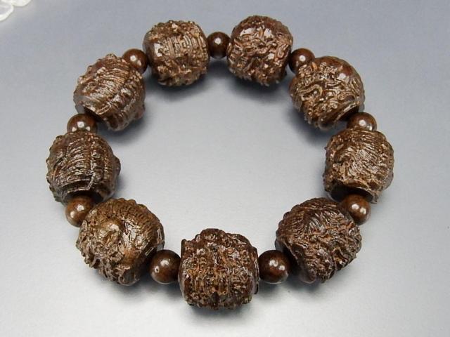 ~^hؑʃqLE20mmؐuXbg  jANZT[/v 