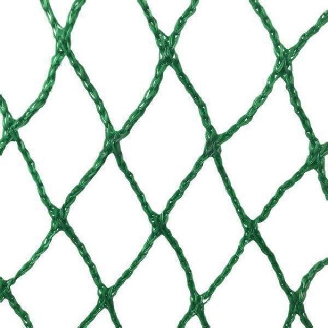 Stlbg St XCOK K lbg StKplbg |[^u 300300  W[/X|[c 