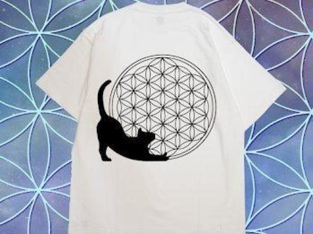 nCNIeB[ TVcL t[IuCt _􉽊w  t@bV 