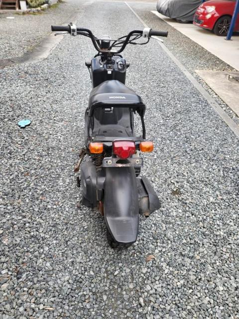 ��l�C�z���_�Y�[�}�[ �� ������/�o�C�N