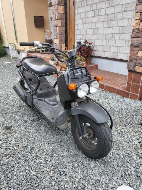 ��l�C�z���_�Y�[�}�[ �� ������/�o�C�N