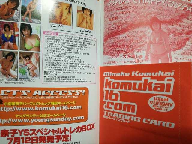 昔はアイドルだったのに!「小向美奈子パーフェクトムック」送料無料 < タレントグッズ 昔はアイドルだったのに!「小向美奈子パーフェクトムック」送料無料 < タレントグッズの