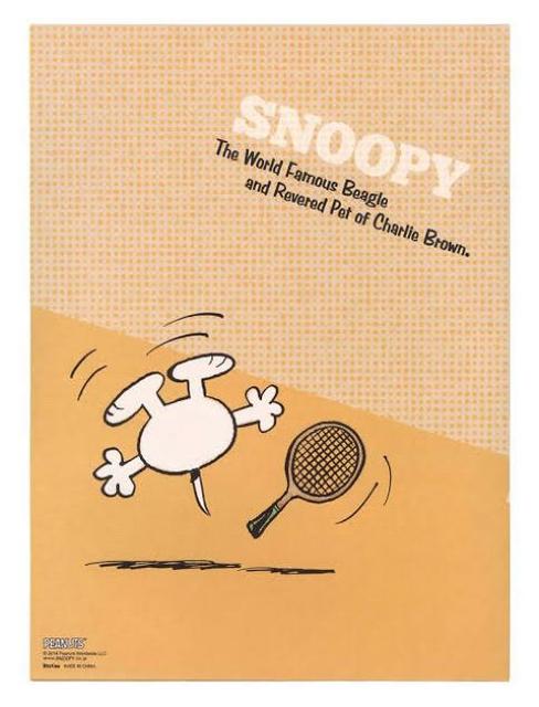 sNewtXk[s[(ftB[m)ނ̐ɕ֗ct@C<A4TCY>  CeA/Ct 