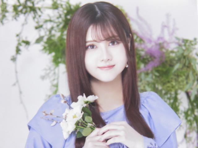 sNewtT؍46/ɓXǁ2022N*Lucky Bag[ʐ^EQZbg]  ^gObY 