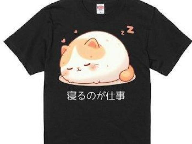 ハイクオリティー Tシャツ ネコ ゆるかわ 癒し 前 < 女性ファッション ハイクオリティー Tシャツ ネコ ゆるかわ 癒し 前 < 女性ファッションの