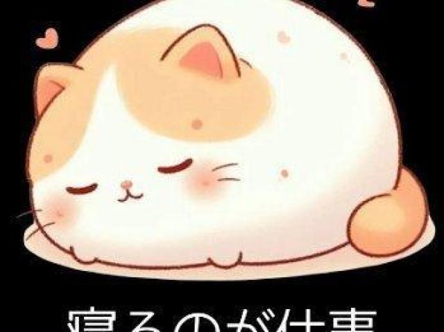 ハイクオリティー Tシャツ ネコ ゆるかわ 癒し 前 < 女性ファッション ハイクオリティー Tシャツ ネコ ゆるかわ 癒し 前 < 女性ファッションの