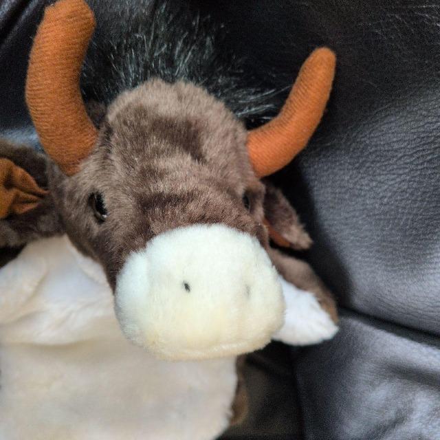 雄牛/牛/ウシ/うし/ハンドパペット/指人形ぬいぐるみ/レターパックプラス送料無料 < おもちゃ 雄牛/牛/ウシ/うし/ハンドパペット/指人形ぬいぐるみ/レターパックプラス送料無料 < おもちゃの