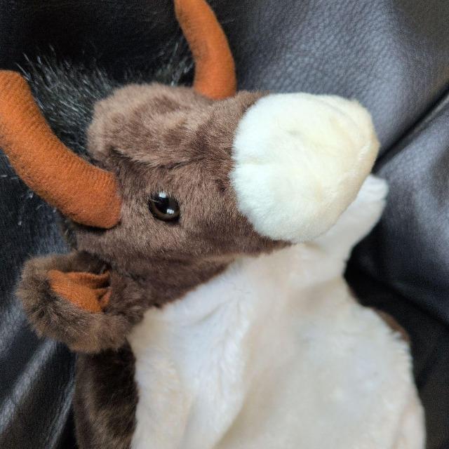 雄牛/牛/ウシ/うし/ハンドパペット/指人形ぬいぐるみ/レターパックプラス送料無料 < おもちゃ 雄牛/牛/ウシ/うし/ハンドパペット/指人形ぬいぐるみ/レターパックプラス送料無料 < おもちゃの