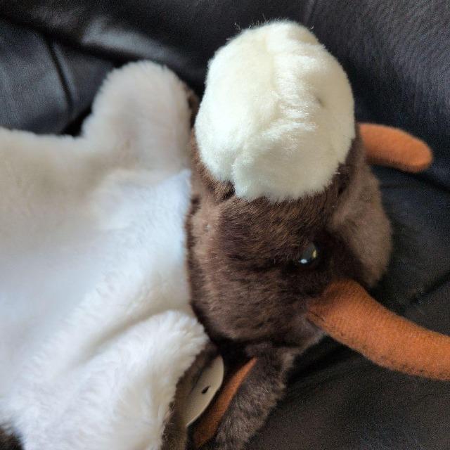 雄牛/牛/ウシ/うし/ハンドパペット/指人形ぬいぐるみ/レターパックプラス送料無料 < おもちゃ 雄牛/牛/ウシ/うし/ハンドパペット/指人形ぬいぐるみ/レターパックプラス送料無料 < おもちゃの