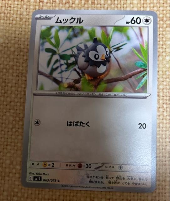 �|�P�����J�[�h�@���b�N��  �� �g���[�f�B���O�J�[�h�� 