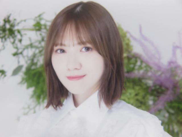 sNewtT؍46/c^C2022N*Lucky Bag[ʐ^EQZbg]  ^gObY 