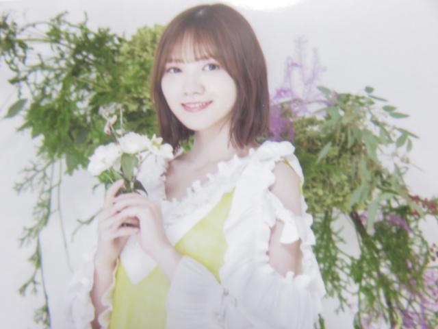 sNewtT؍46/c^C2022N*Lucky Bag[ʐ^EQZbg]  ^gObY 