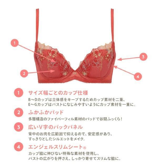 G65★トリンプ★アモスタイル★ナチュラルスリムブラジャー★新品★大きいサイズ★送料無料 < 女性ファッション  G65★トリンプ★アモスタイル★ナチュラルスリムブラジャー★新品★大きいサイズ★送料無料 < 女性ファッションの